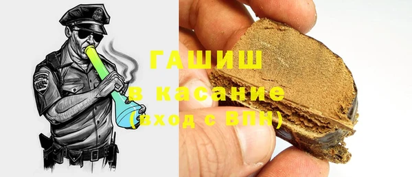 индика Елизово