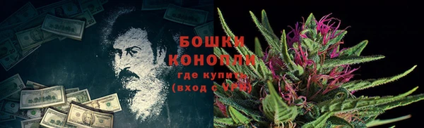 прущие крисы Ельня
