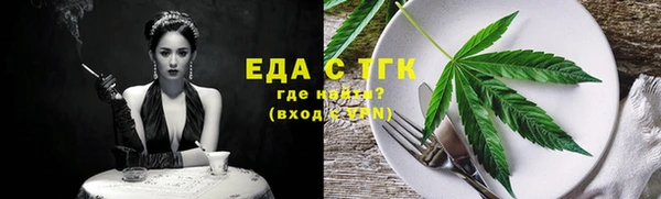 индика Елизово