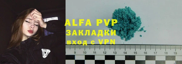 прущие крисы Ельня
