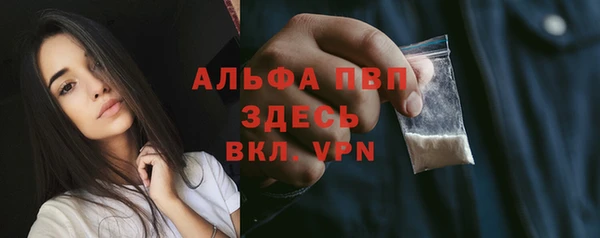 индика Елизово