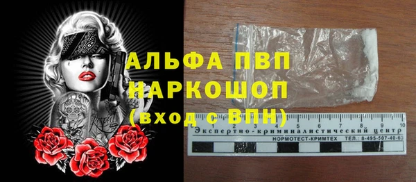 прущие крисы Ельня