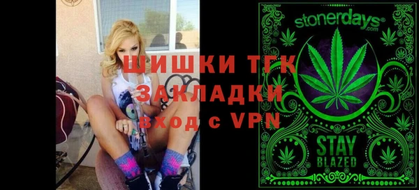 индика Елизово