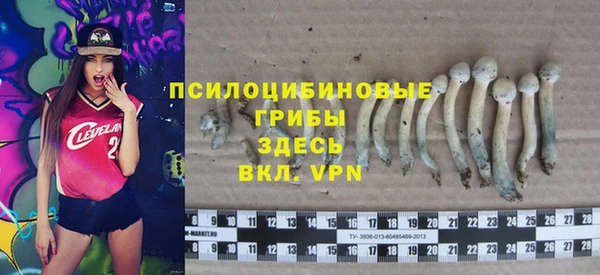 индика Елизово