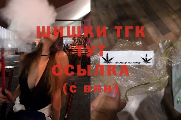 прущие крисы Ельня