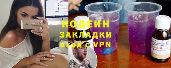 индика Елизово