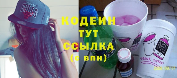 индика Елизово
