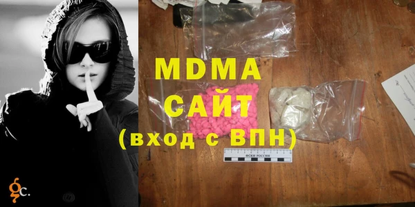 индика Елизово
