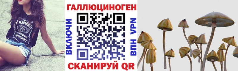 купить закладку  Зеленогорск  Галлюциногенные грибы мицелий 