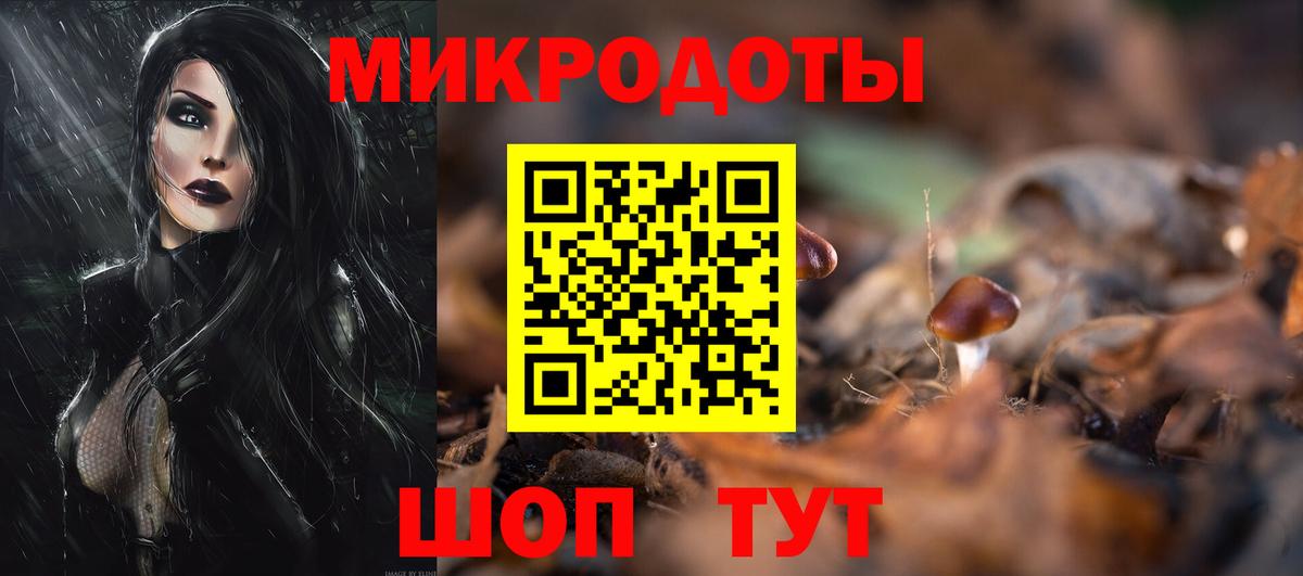 Зеленогорск  Псилоцибиновые грибы GOLDEN TEACHER  как найти закладки  Вход с VPN  Галлюциногенные грибы Cubensis 